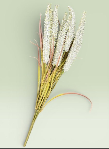 ضمم ورد عرانيس