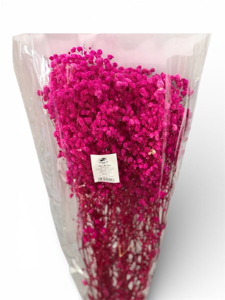 زهري غامق ( فوشي )