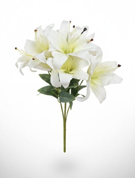 ضمم زنبق حجم كبير