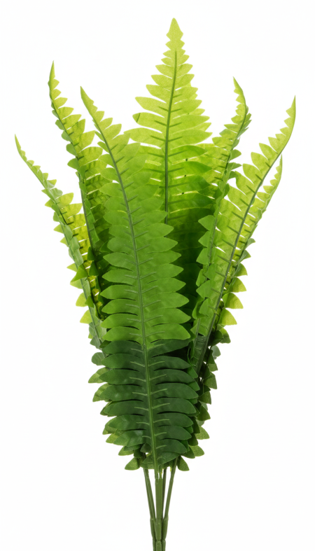 ورق خضار ( خنشار)