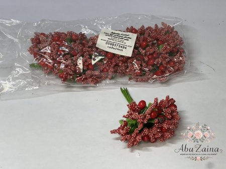 كبسونيت بكيت صغير ( 6 ضمم )