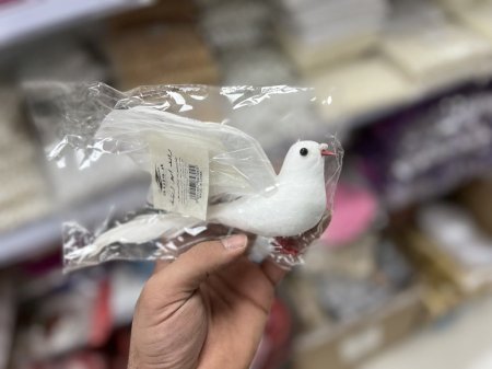 عصافير للزينة