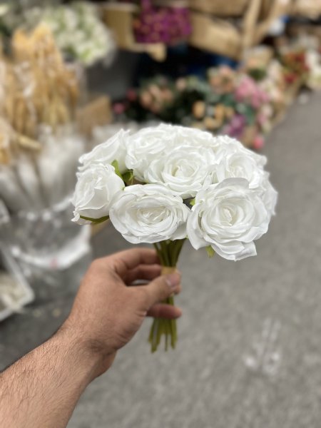 جوري ابيض 12 عرق