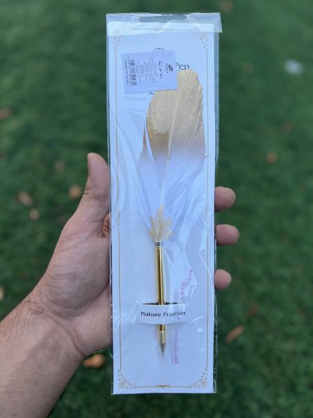 قلم مع ريشة