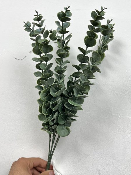 عروق الزعتر
