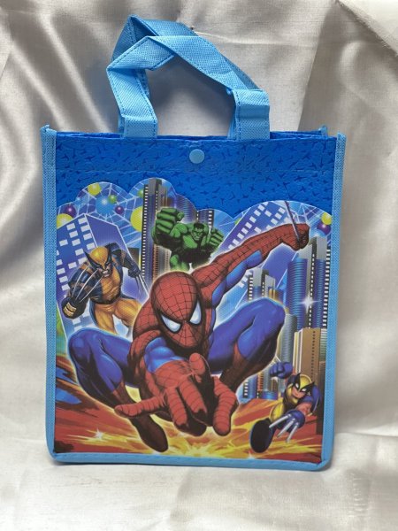 كيس حقيبة قماش